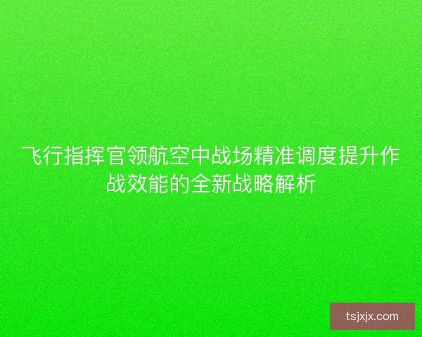 飞行指挥官领航空中战场精准调度提升作战效能的全新战略解析