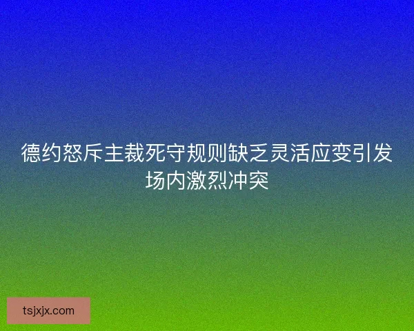 德约怒斥主裁死守规则缺乏灵活应变引发场内激烈冲突