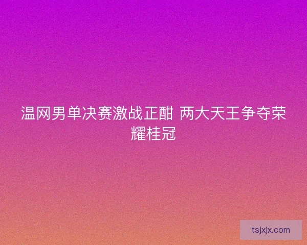 温网男单决赛激战正酣 两大天王争夺荣耀桂冠